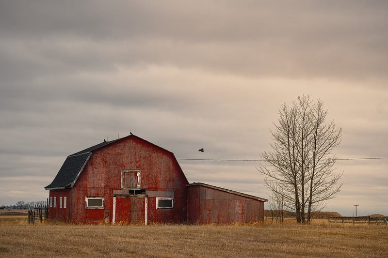 Rustic Barn Settings